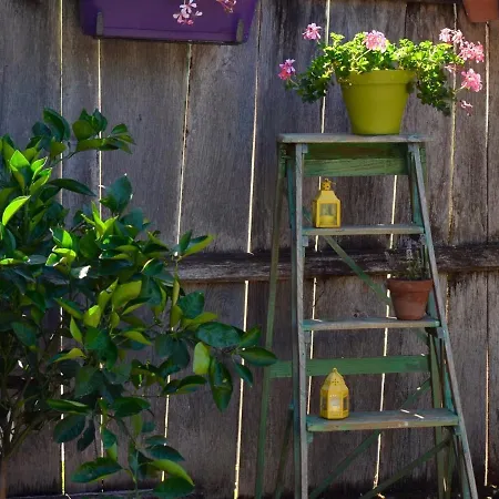 D'hotes La Source Du Vallon Bed & Breakfast