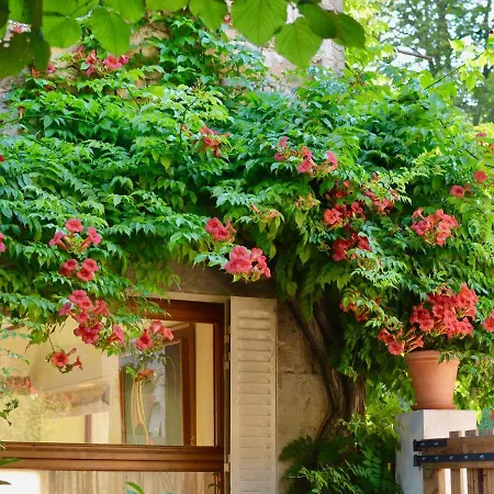 D'hotes La Source Du Vallon Bed & Breakfast Salles-la-Source